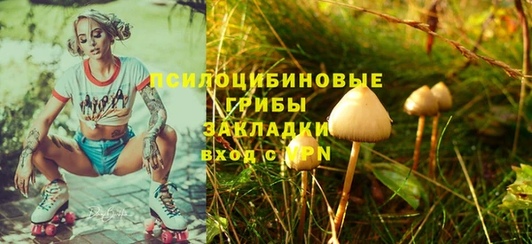 дурь Мегион